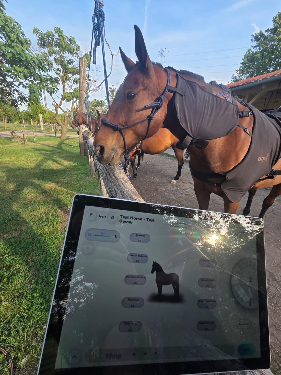 The REQVIS app running a treatment program on a tablet beside a horse wearing the blanket