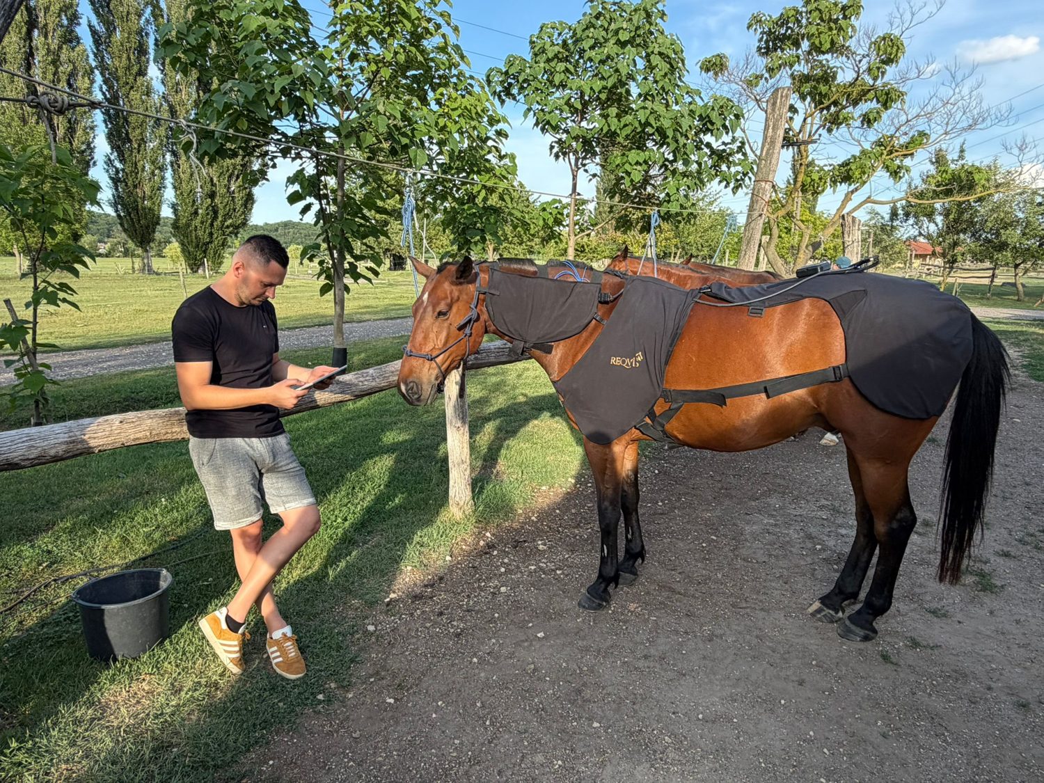 Reviewing a REQVIS treatment program on a tablet beside a horse in the field